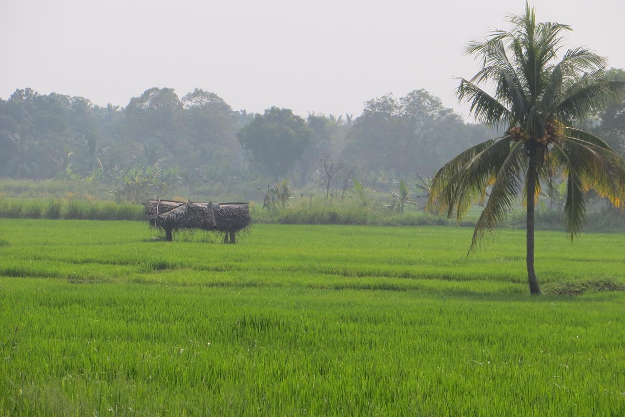 Отель Funky Lanka Tours Канди Экстерьер фото